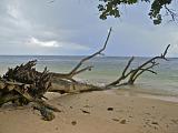 SEYCHELLES - 543 - La Digue, Anse La Reunion